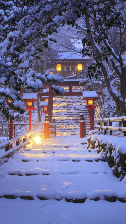 灯光下的神社 screenshot