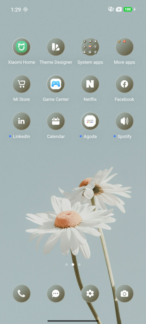 Flower Beauty screenshot