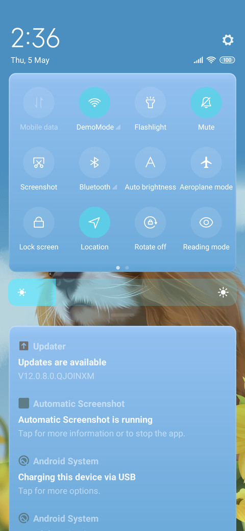 Charlie dog screenshot