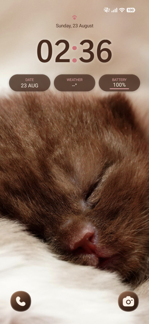 Velvet Kitten screenshot