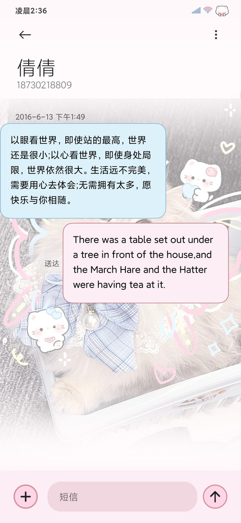 超甜蝴蝶猫猫 screenshot