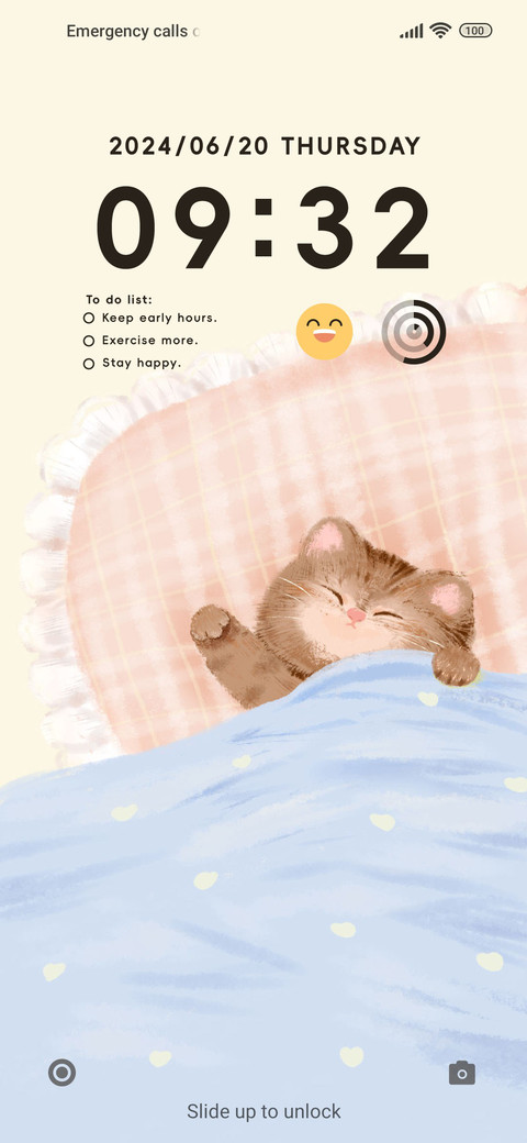 Lazy Cat screenshot