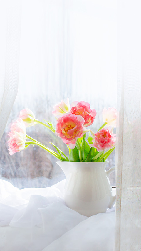 A vase of pink tulips stands on the window screenshot