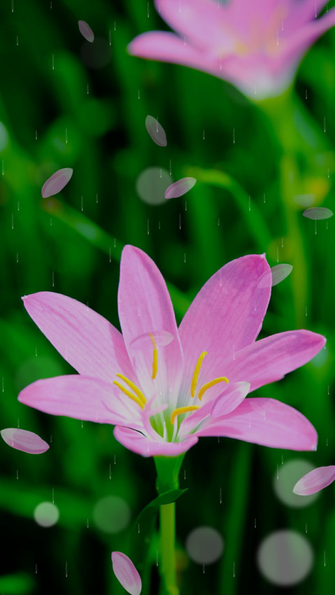 春暖花开 screenshot
