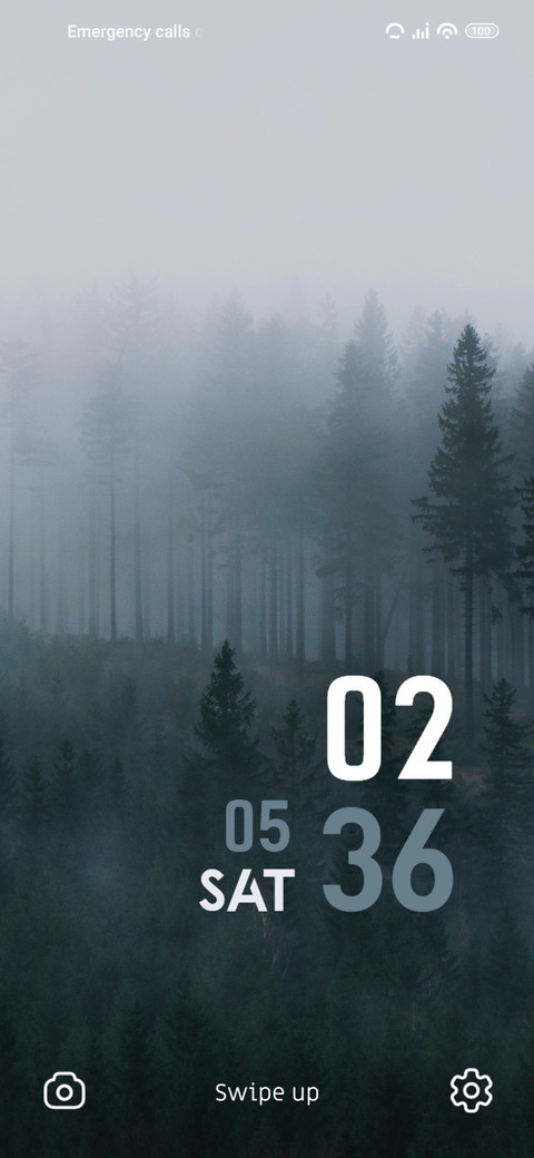 Fogg Forest screenshot