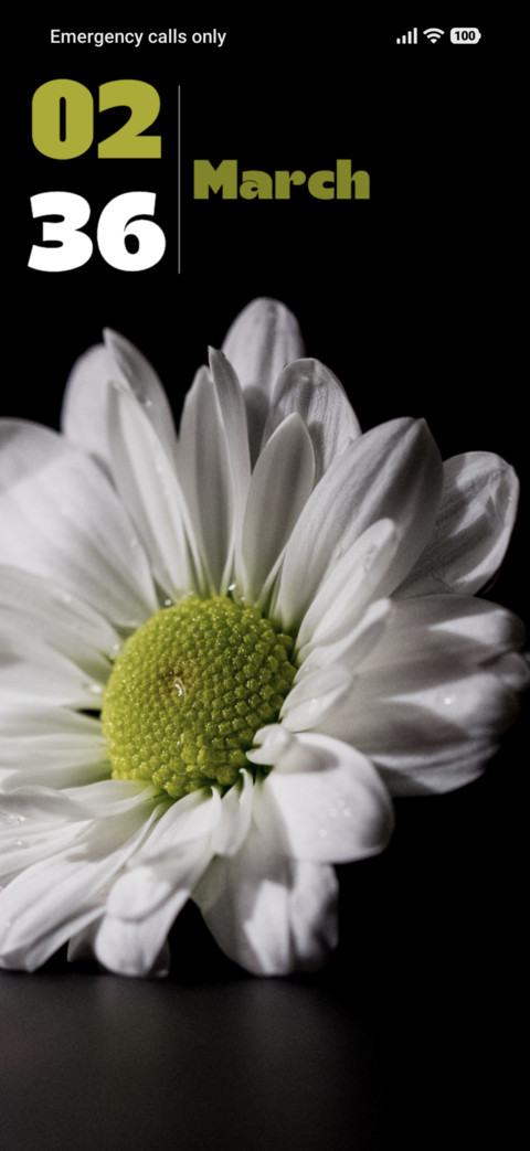 Flower screenshot