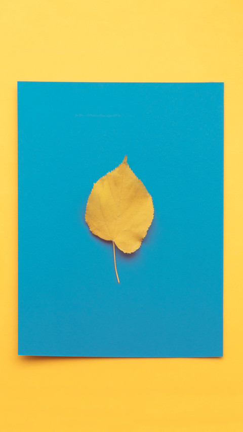Creative wallpaper-10 screenshot