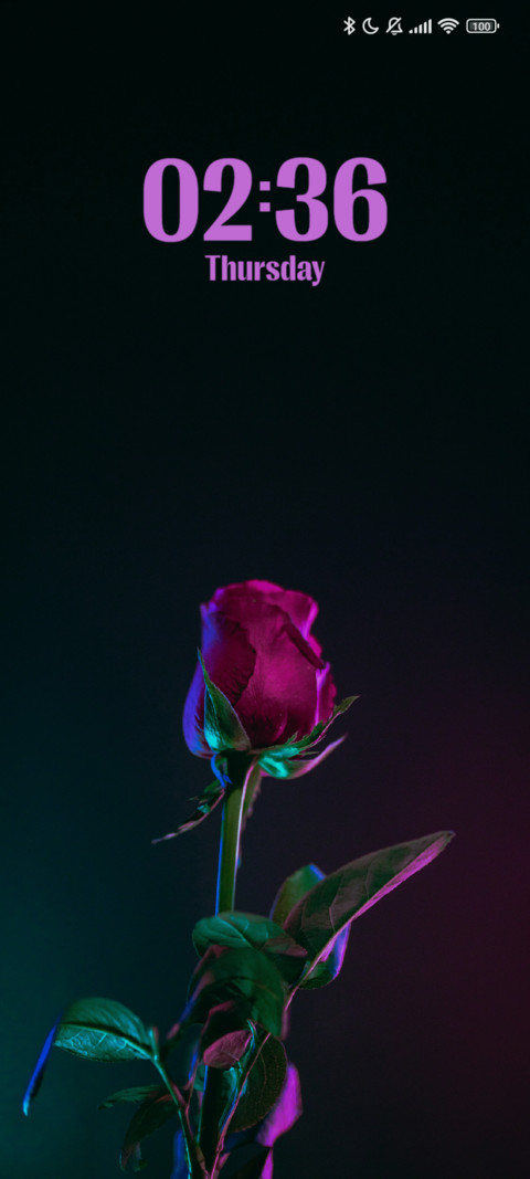 Neon Rose screenshot