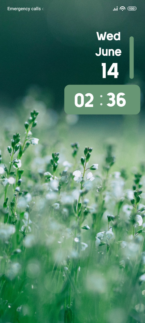Dew screenshot