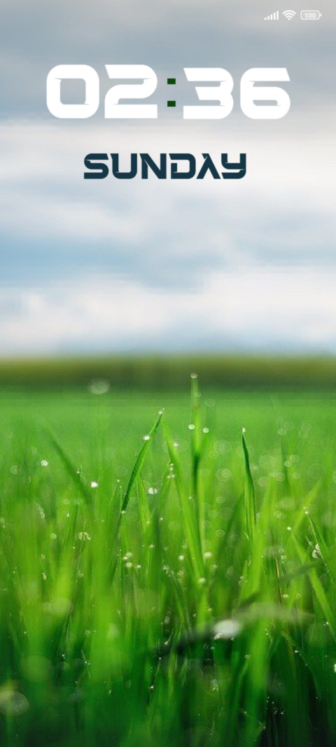 Grass screenshot