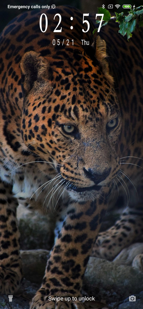 Leopard_3MDS screenshot