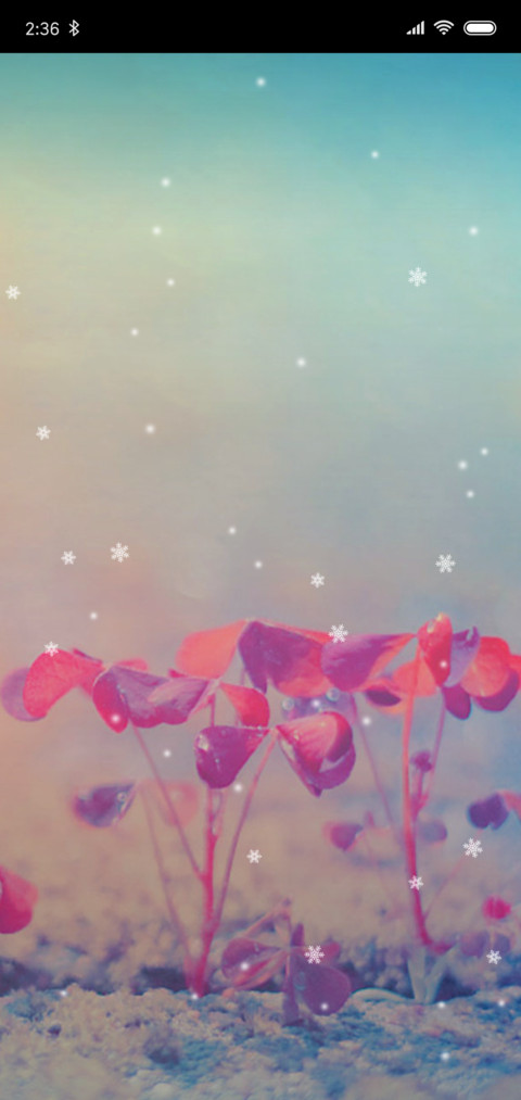 雪中花 screenshot