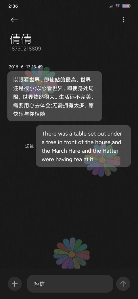 小雏菊 倒计时 screenshot