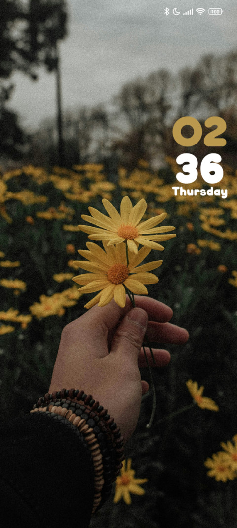 Yellow Daisy screenshot