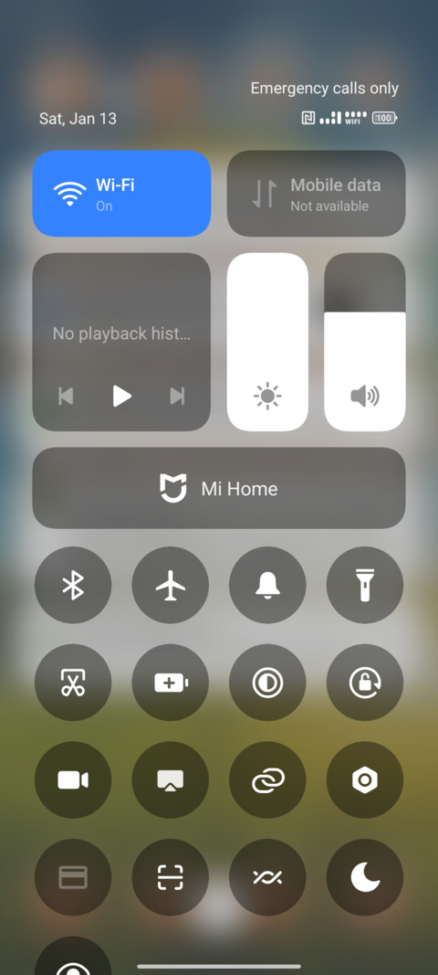 Sun Flower screenshot