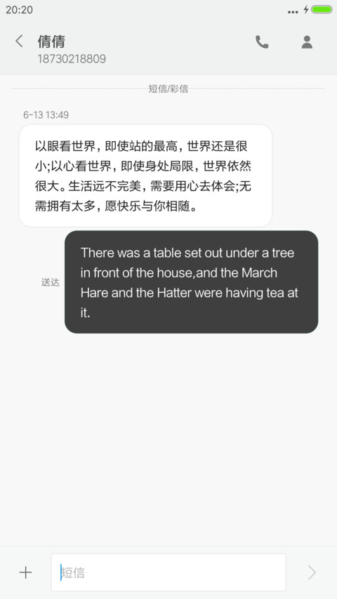 世上只有妈妈好（自定义照片+动态图标） screenshot
