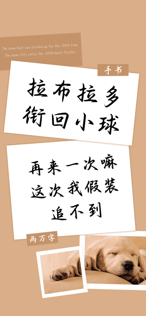 拉布拉多衔回小球 screenshot