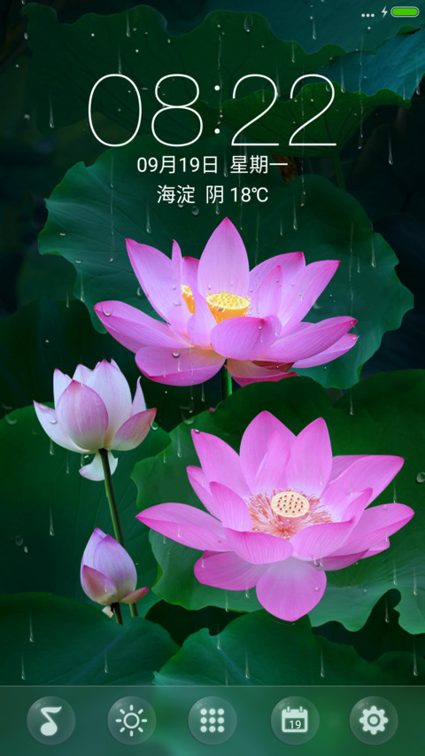 全动态唯美荷花(好评返现) screenshot