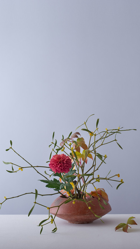 插花艺术 screenshot