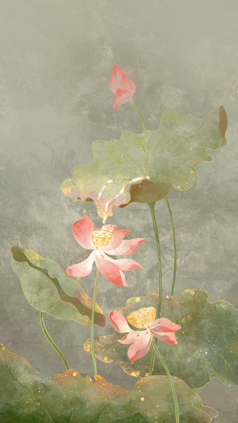 解读花朵背后的情感密码 screenshot
