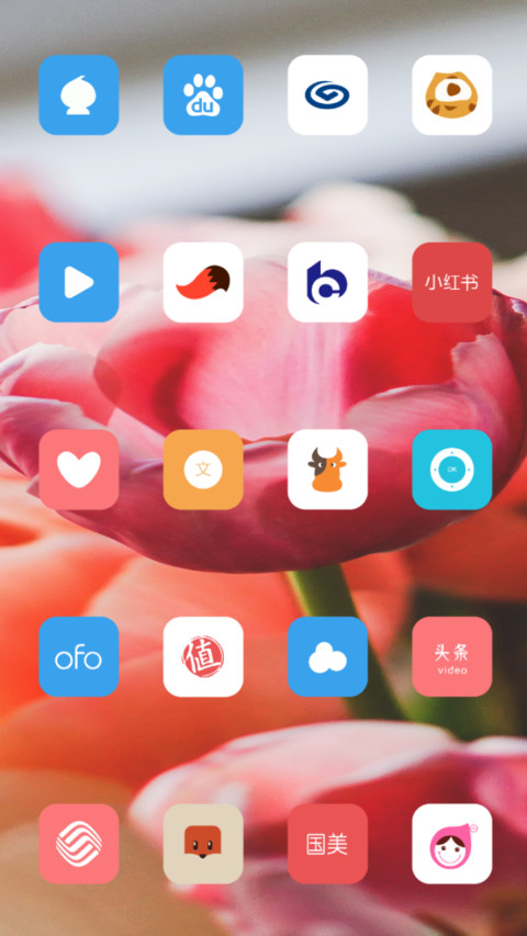 LILY_DWM19 screenshot