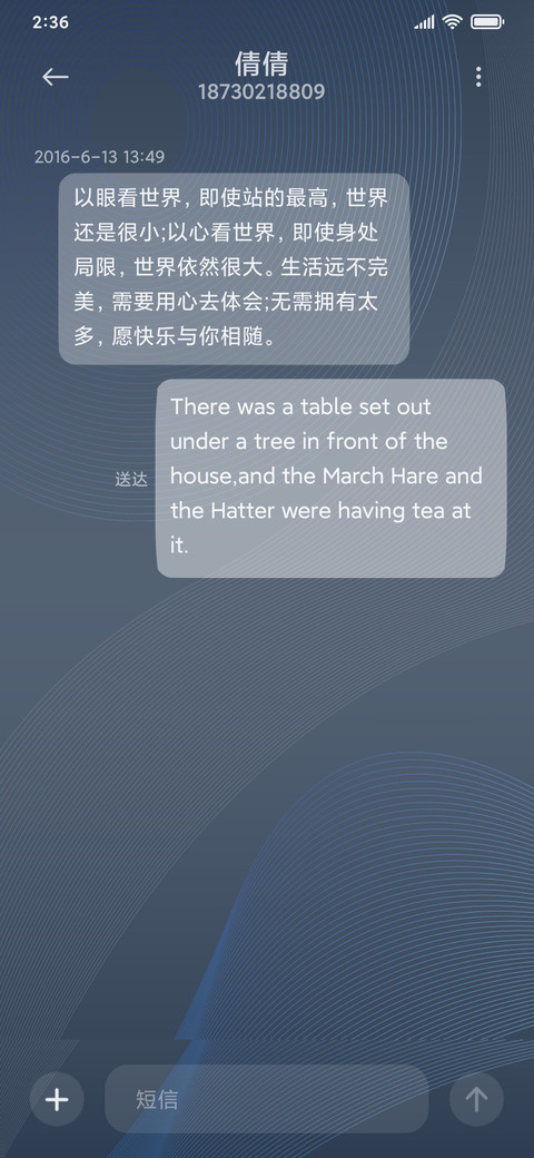 极致简蓝 screenshot