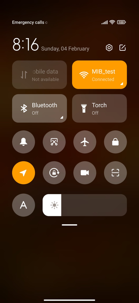 Koi lantern show screenshot