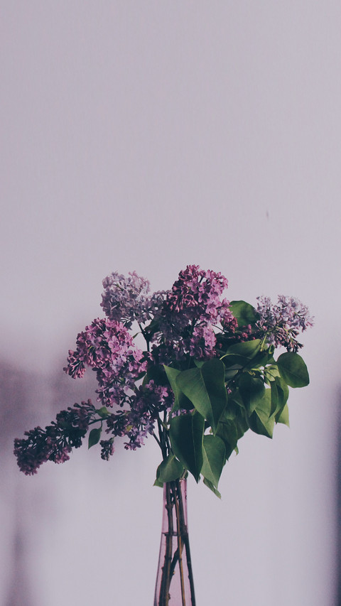 bouquet (4) screenshot