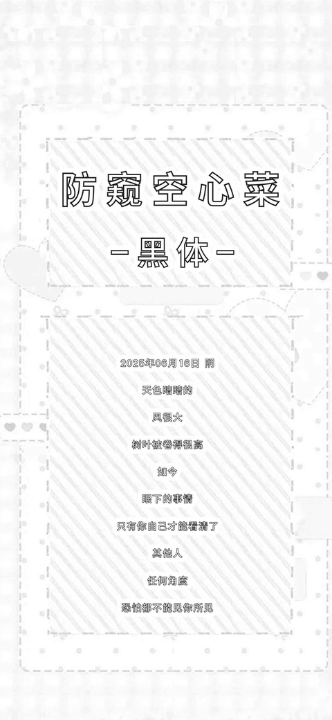防窥空心菜黑体 screenshot