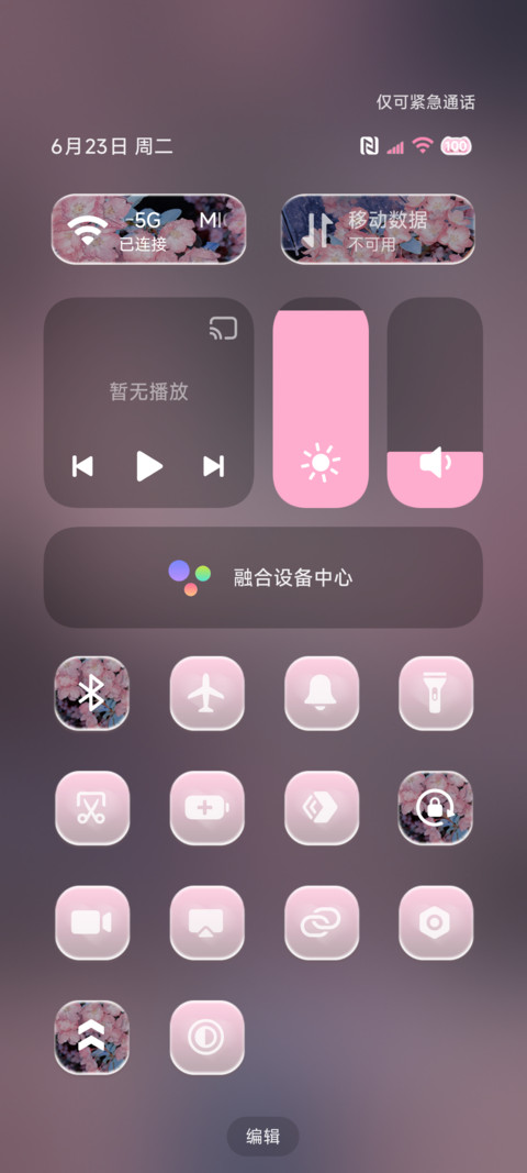 氛围 四时海棠雨 screenshot