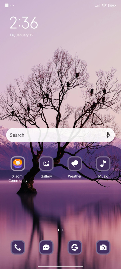Lake Reflection screenshot