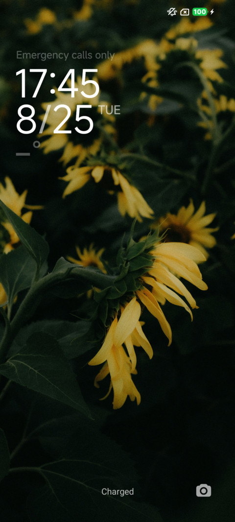 FlorBrilhante screenshot