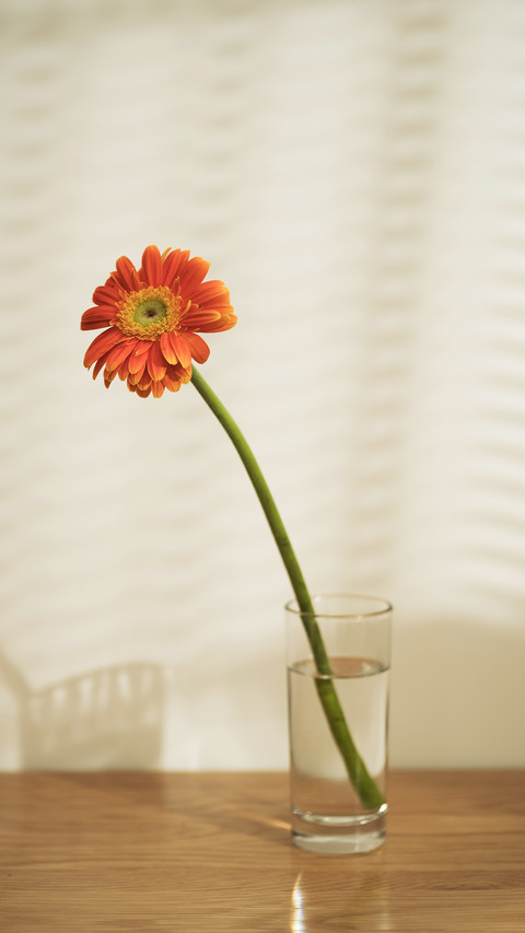 Learn to water flowers 2 screenshot
