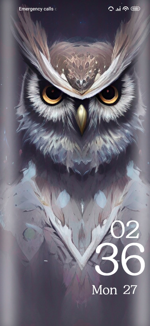 Owl screenshot