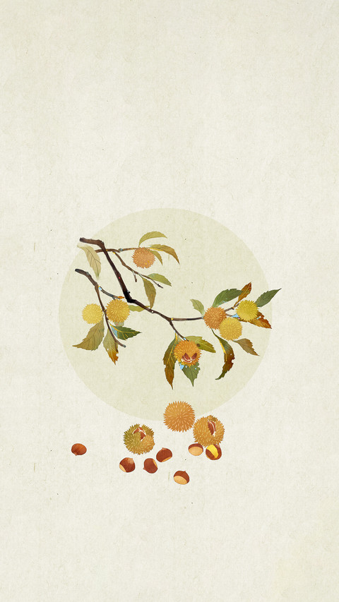 Sugarfried chestnuts should not be eaten in large screenshot
