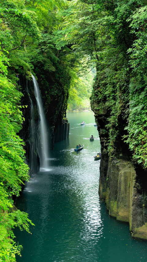 Miyazakis four seasons are picturesque screenshot