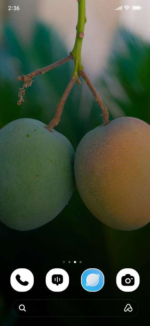 Twin Mangoes screenshot