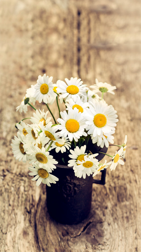 How to loosen flower soil 54 screenshot