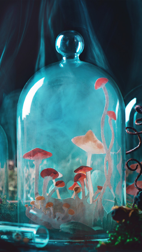 Halloween mushrooms screenshot