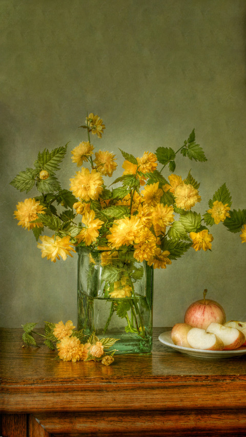 Details of maintenance and preservation of flower arrangemen screenshot
