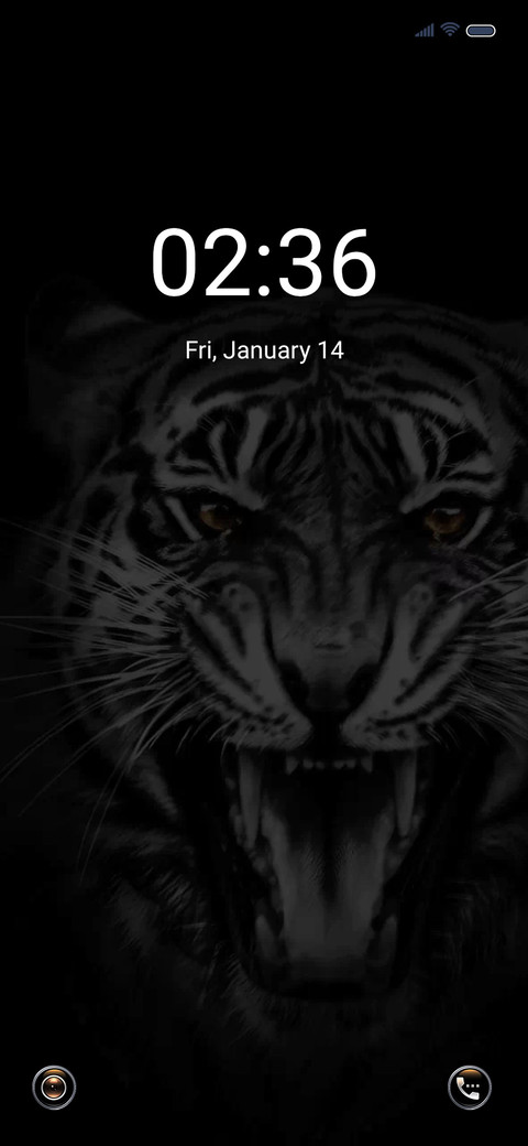 Roaring tiger screenshot