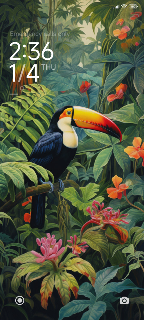 rainforest toucan screenshot