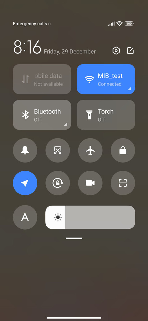 Sleeping Tulip screenshot