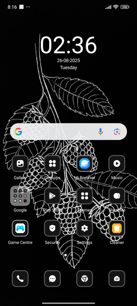 Black Strawberry screenshot