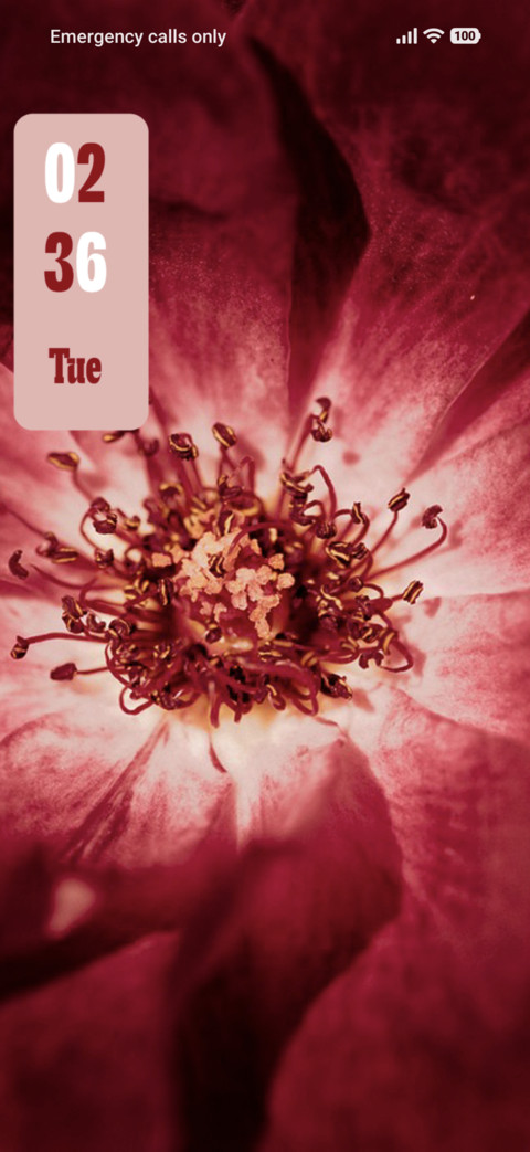 Red Flower screenshot