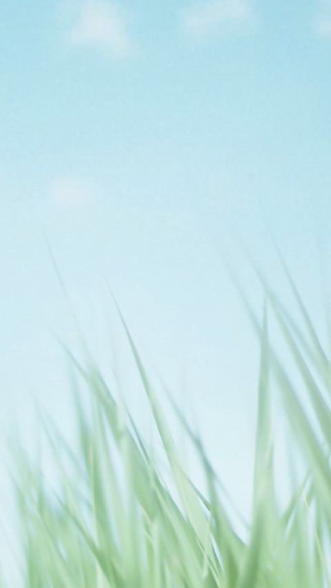 小清新 screenshot