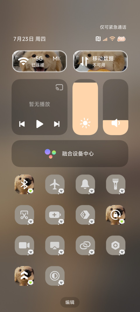 双模式 治愈小金毛 screenshot