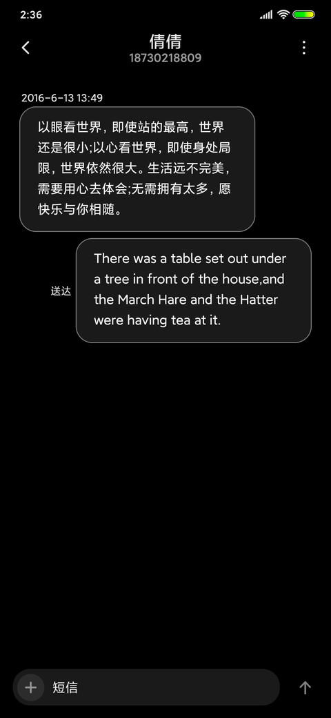 简约闪电充电 screenshot