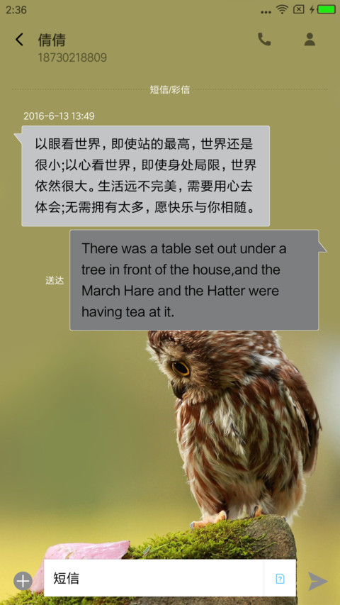 大脸猫 screenshot