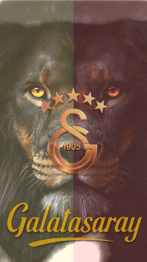 GS Galatasaray 1905 screenshot